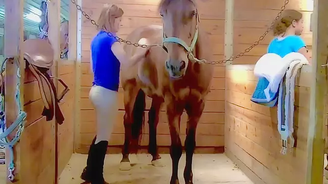 My Gorgeous Wife's Dirty work in the Stable - A Sweaty and Sexy Show