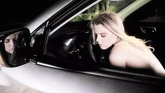 Driver’s Education - Pure Taboo