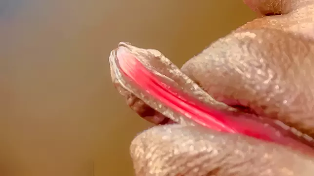 Big Ass MILF Rubs Her Huge Clit and Wet Pussy in Hot Video