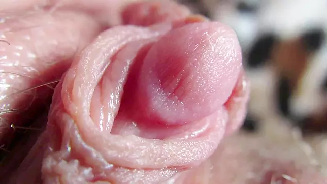 Sexy Mom's Huge Clit Play and Wet Muff Fingering in Dirty XXX Video