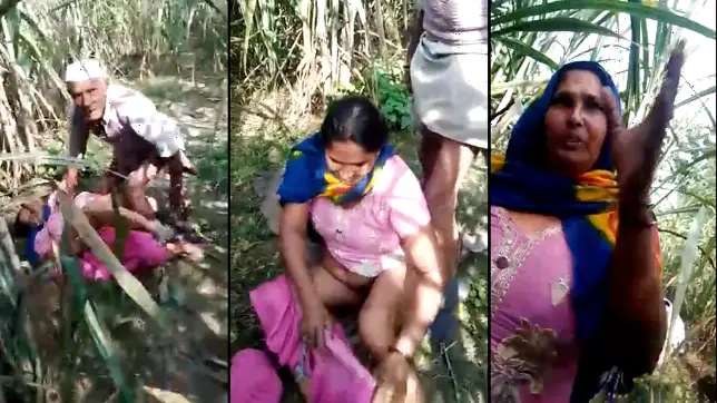 Caught Cheatin' Old Geezer Fucks Village Widow's Drippin' Cunt in Cornfield