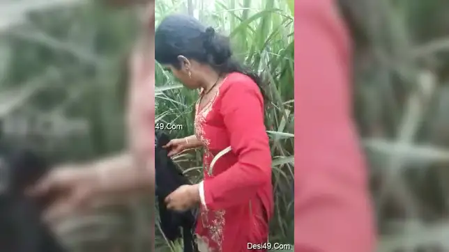 Reeds are a quiet place where Desi porn partners can practice sex