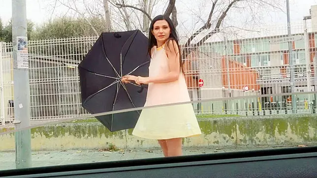 Busty Arian Joy Gets Picked Up on the Street by a Dominant Stranger