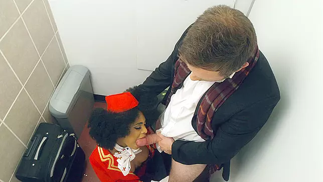 Definitely NSFW ~ Luna Corazon's Daring Blowjob in the Airplane Toilet!