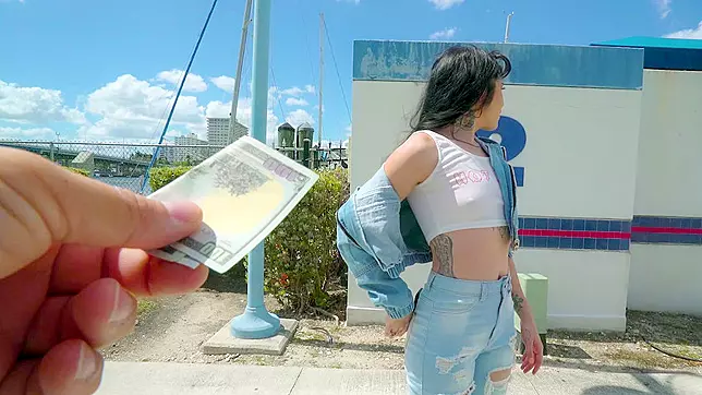 Risky Uncensored Street Pickup - Brenna McKenna's XXX Video