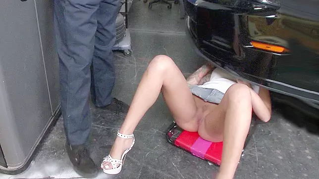 Long legged babe Alby Rydes lets him check her undercarriage